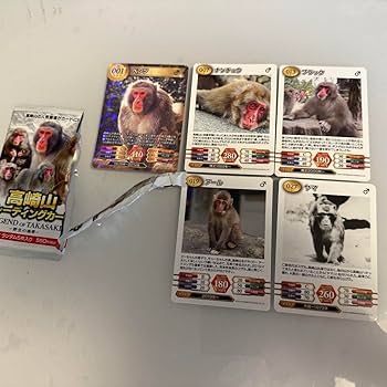 pure2 トレーディングカードまとめ売り pure2 トレーディングカードまとめ売り ZXトレーディングカード